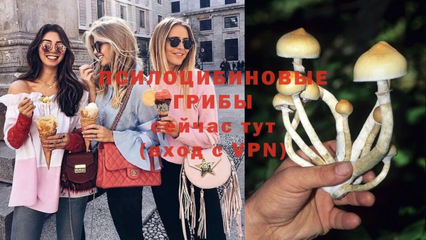 не бодяженный Алексин