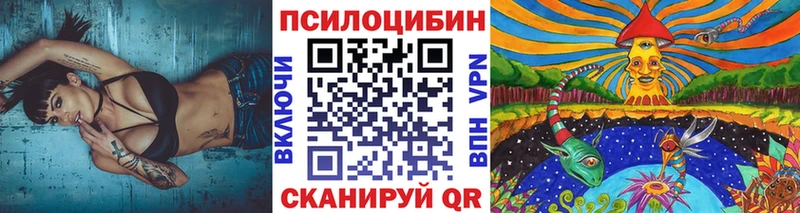 Псилоцибиновые грибы GOLDEN TEACHER закладка Темрюк